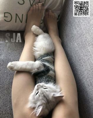女王拿丝袜脚教训足奴视频_BD高清欧美在线观看